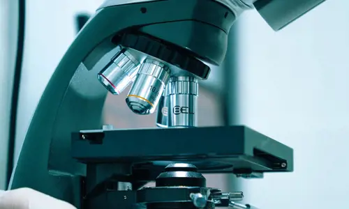 Microscope photo