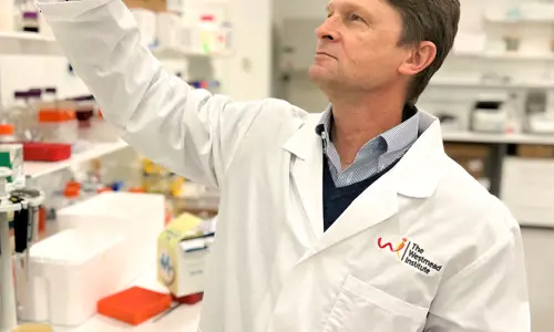 Professor Jon Iredell holding up petri-dish in a laboratory